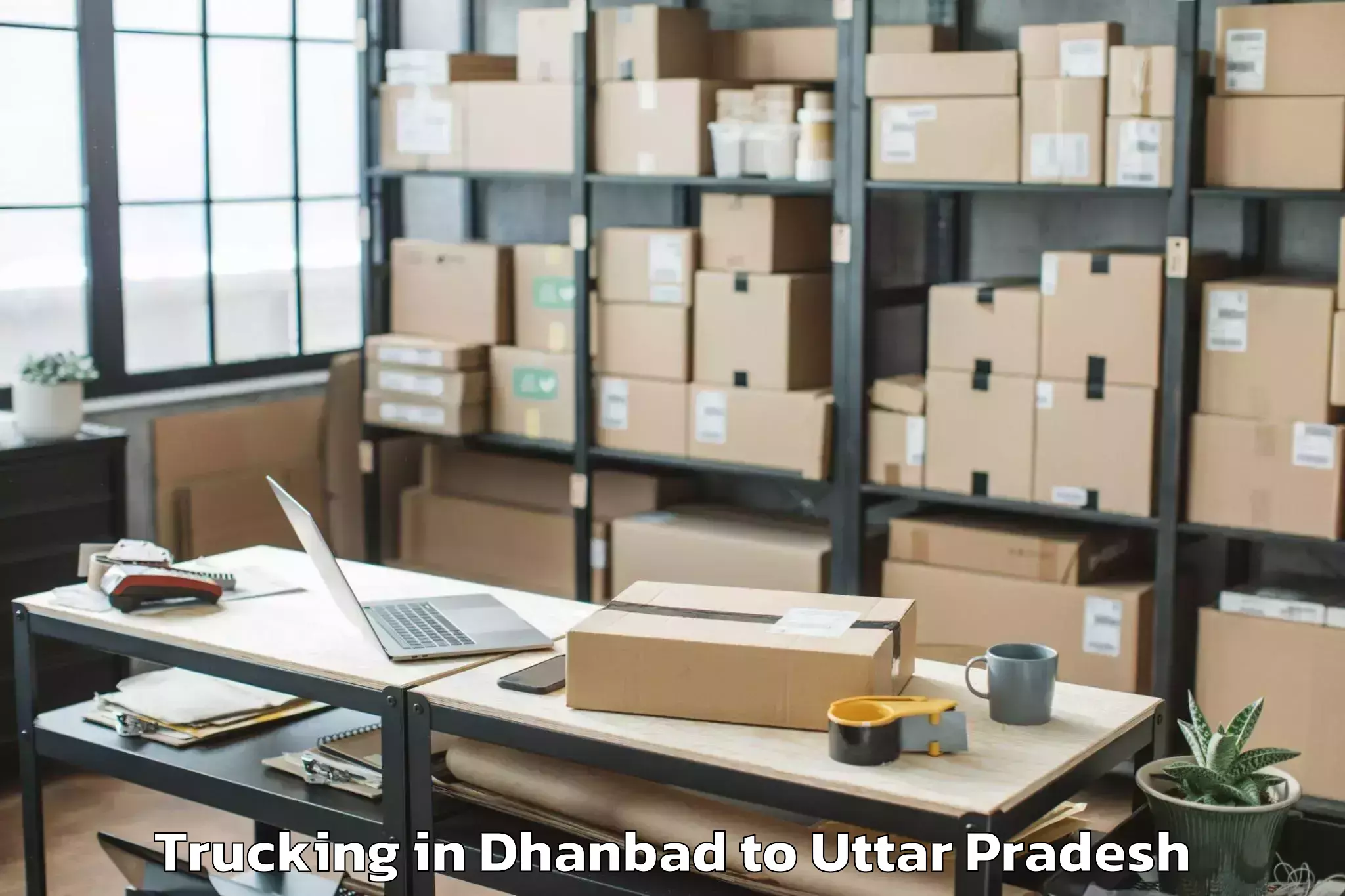 Book Dhanbad to Ambahta Trucking Online